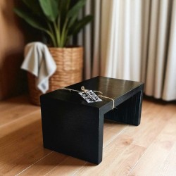 VINTAGE LESENA PRUČKA -...